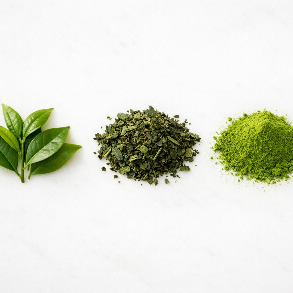 What Is Matcha Made Of?